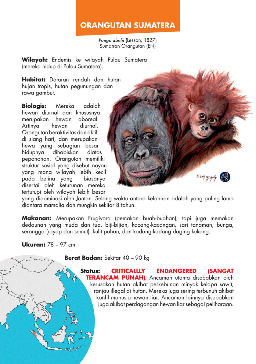 The Kukang Rescue Program Bagaimana Cara Melindungi Lahan