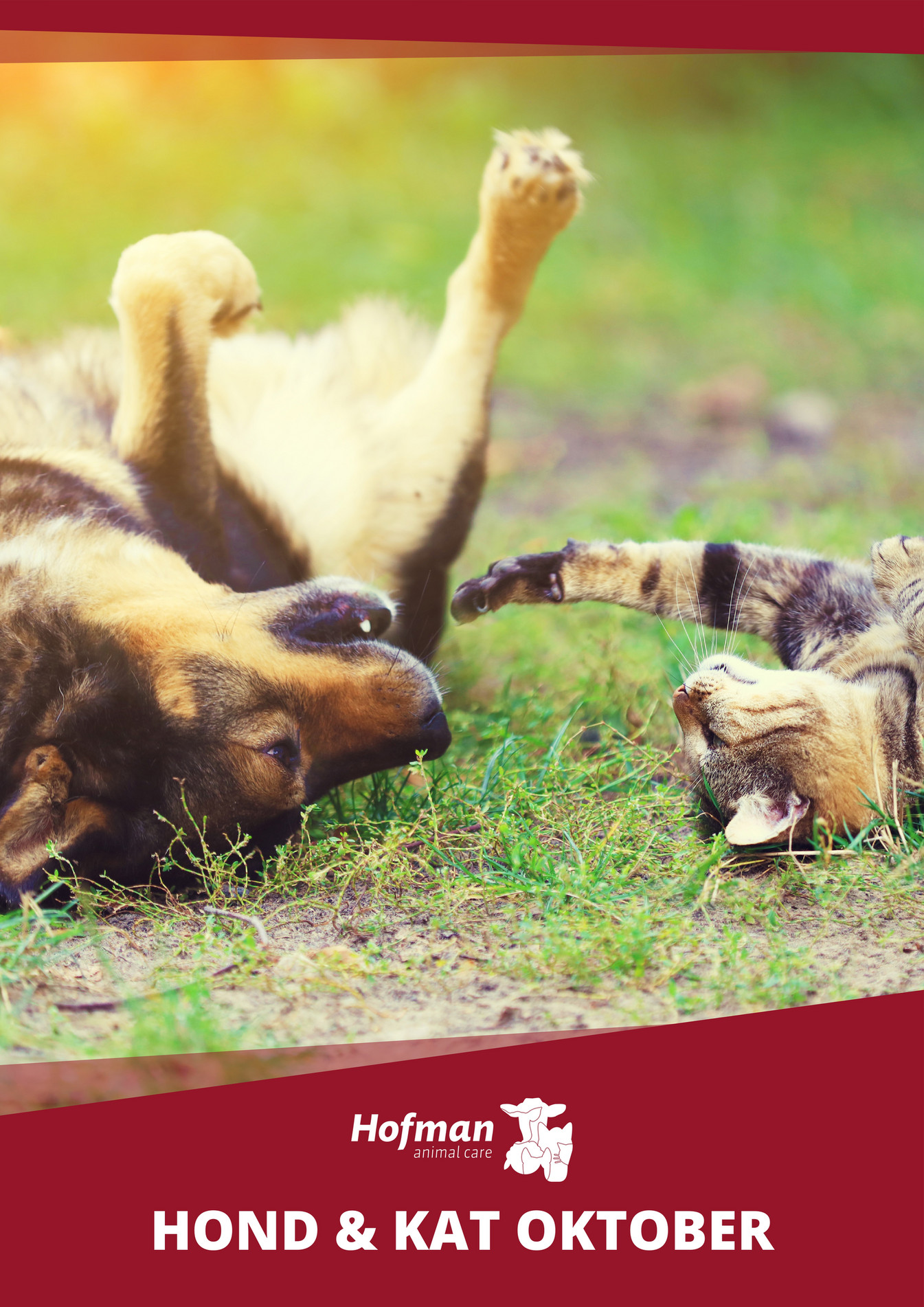 Hofman Animal Care Hofman Animal Care Oktober 2019 Hond Kat