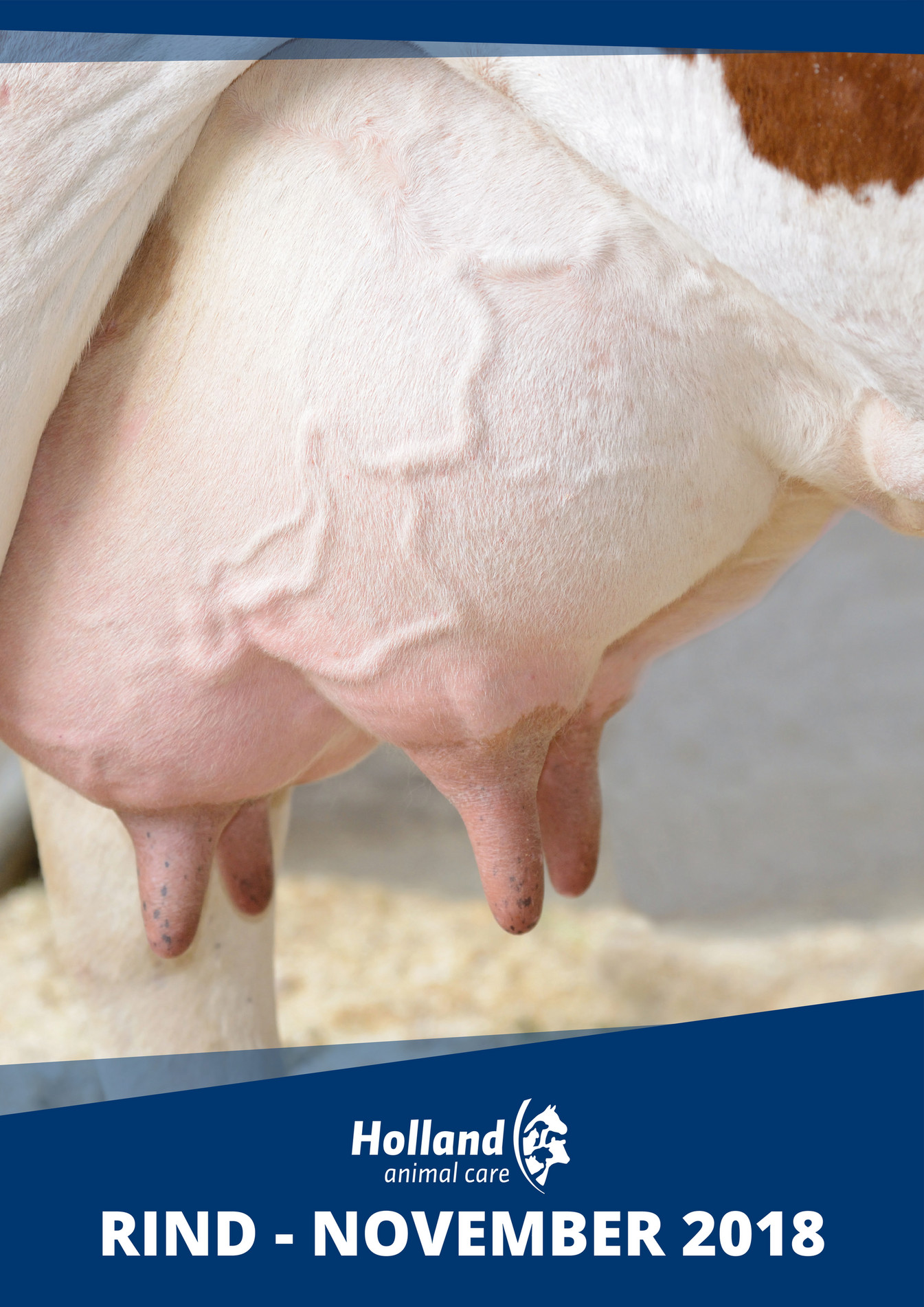 hofman-animal-care-holland-animal-care-rind-november-2018-page