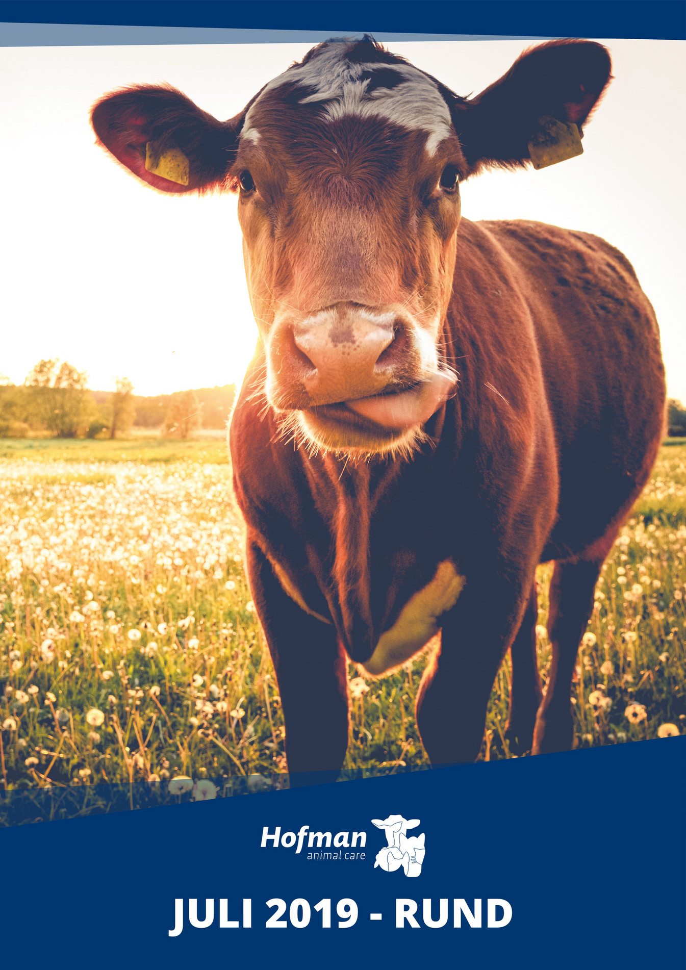 Holland Animal Care Toys