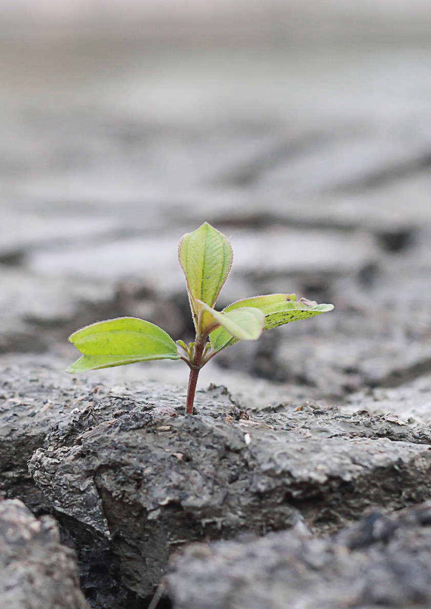 Nima porno pikap chick cums