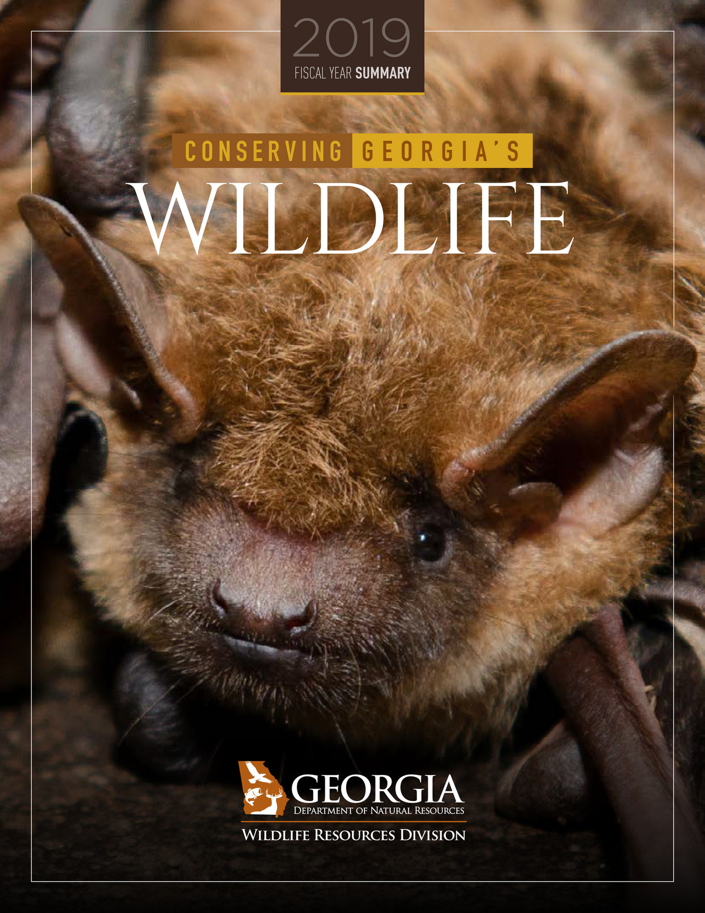 georgia-department-of-natural-resources-2019-georgia-dnr-wildlife