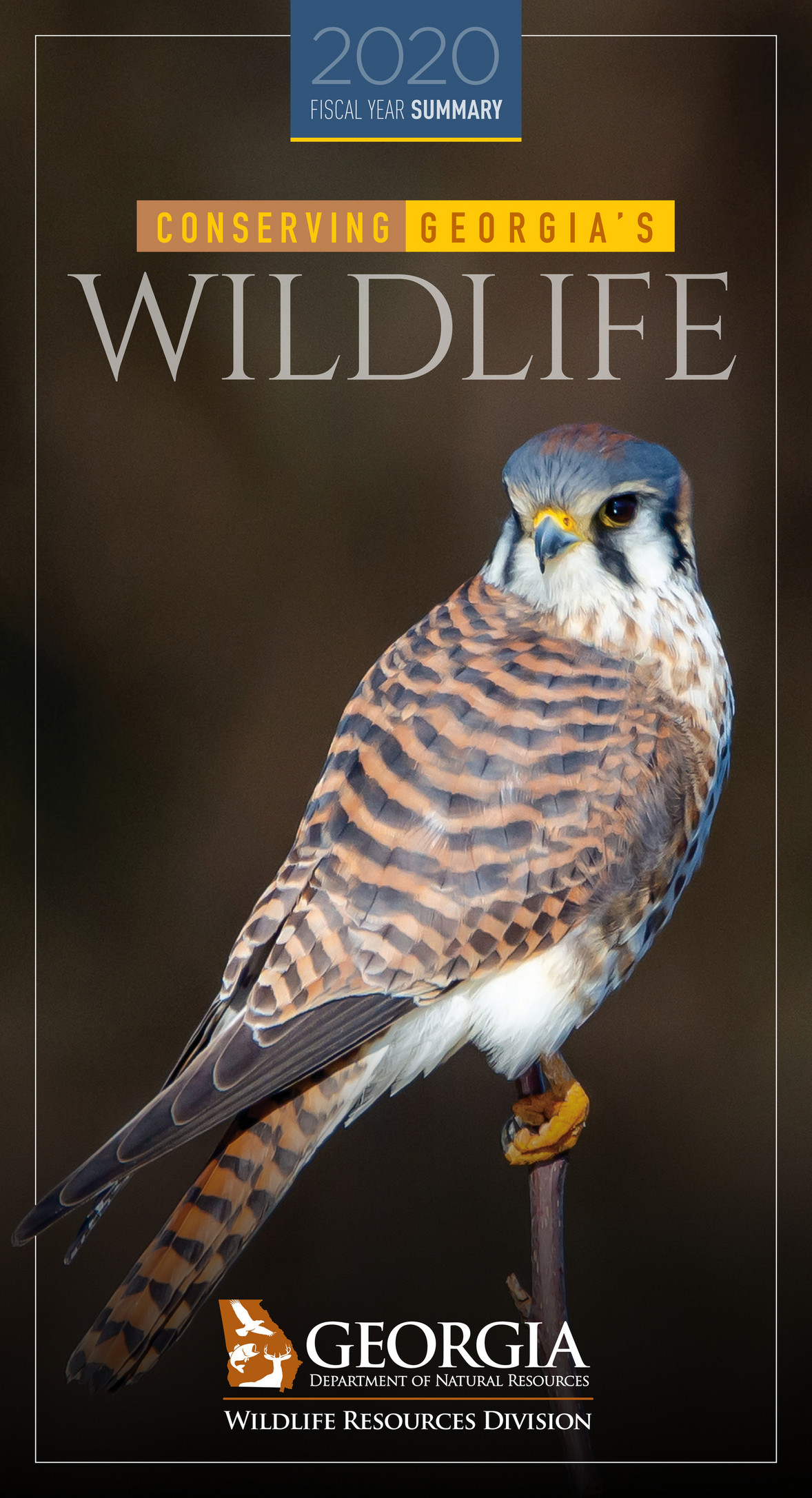 Georgia department of natural resources 2020 georgia dnr wildlife