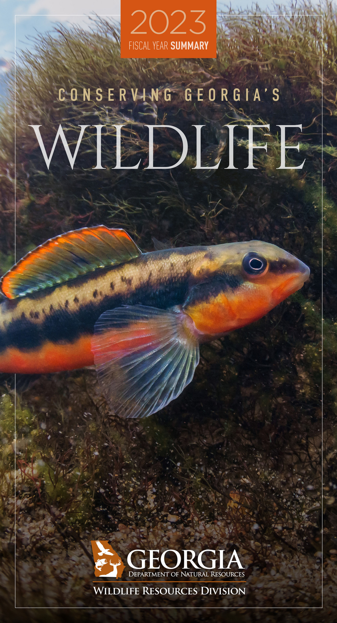 Department of Natural Resources 2023 DNR Wildlife Report Summary Page 6