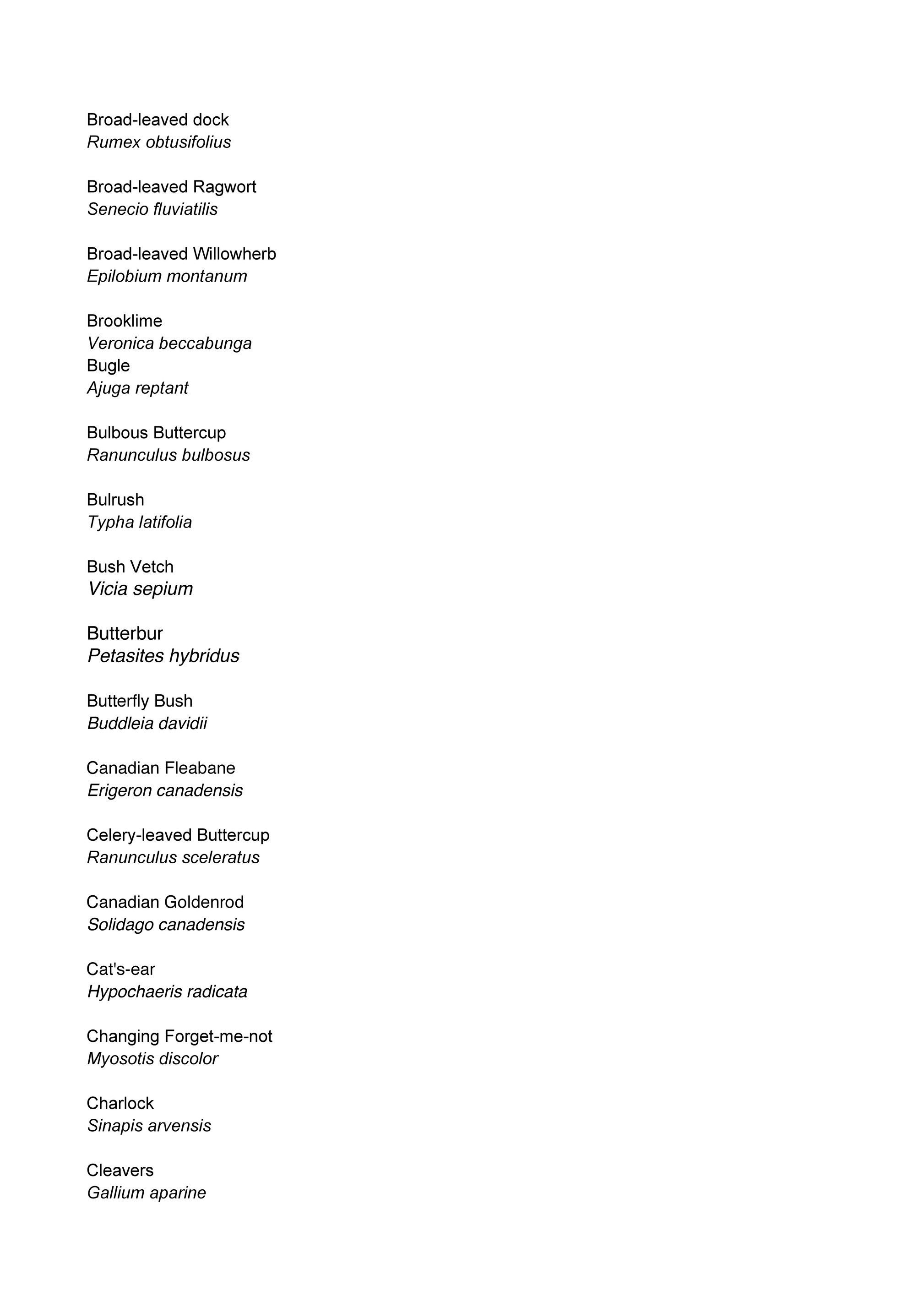 My Publications Wildflower Check List V 10 Page 12 13 Created With Publitas Com