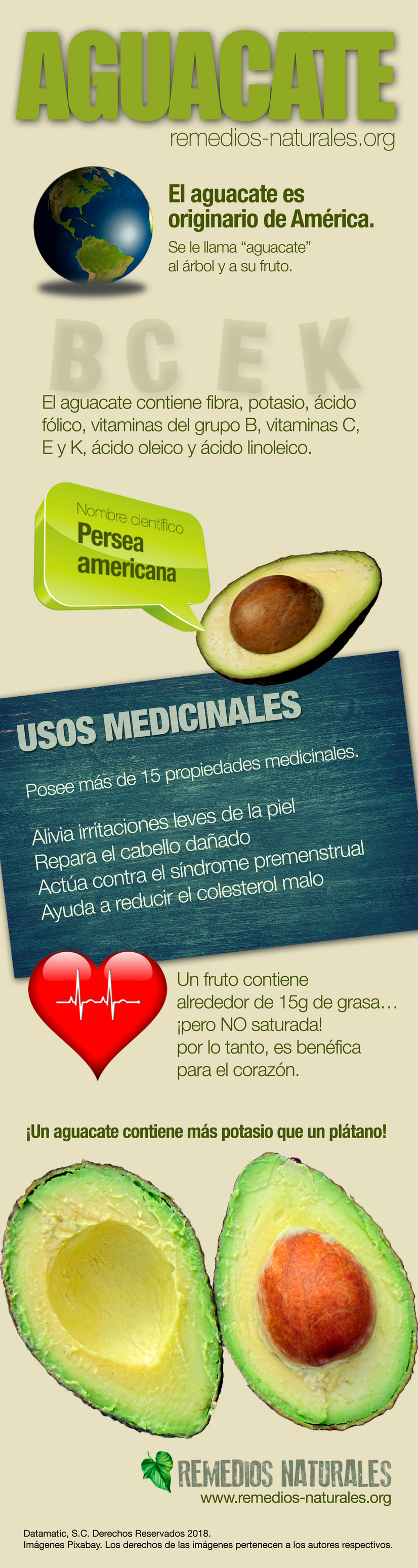 Datamatic Infografía Del Aguacate Page 1 Created With 0647