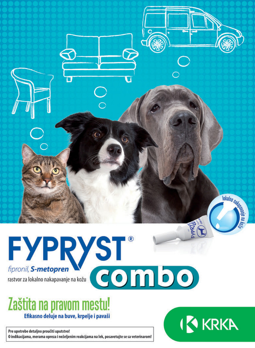 Infopet Infopet 3 Page 28 Created With Publitas Com