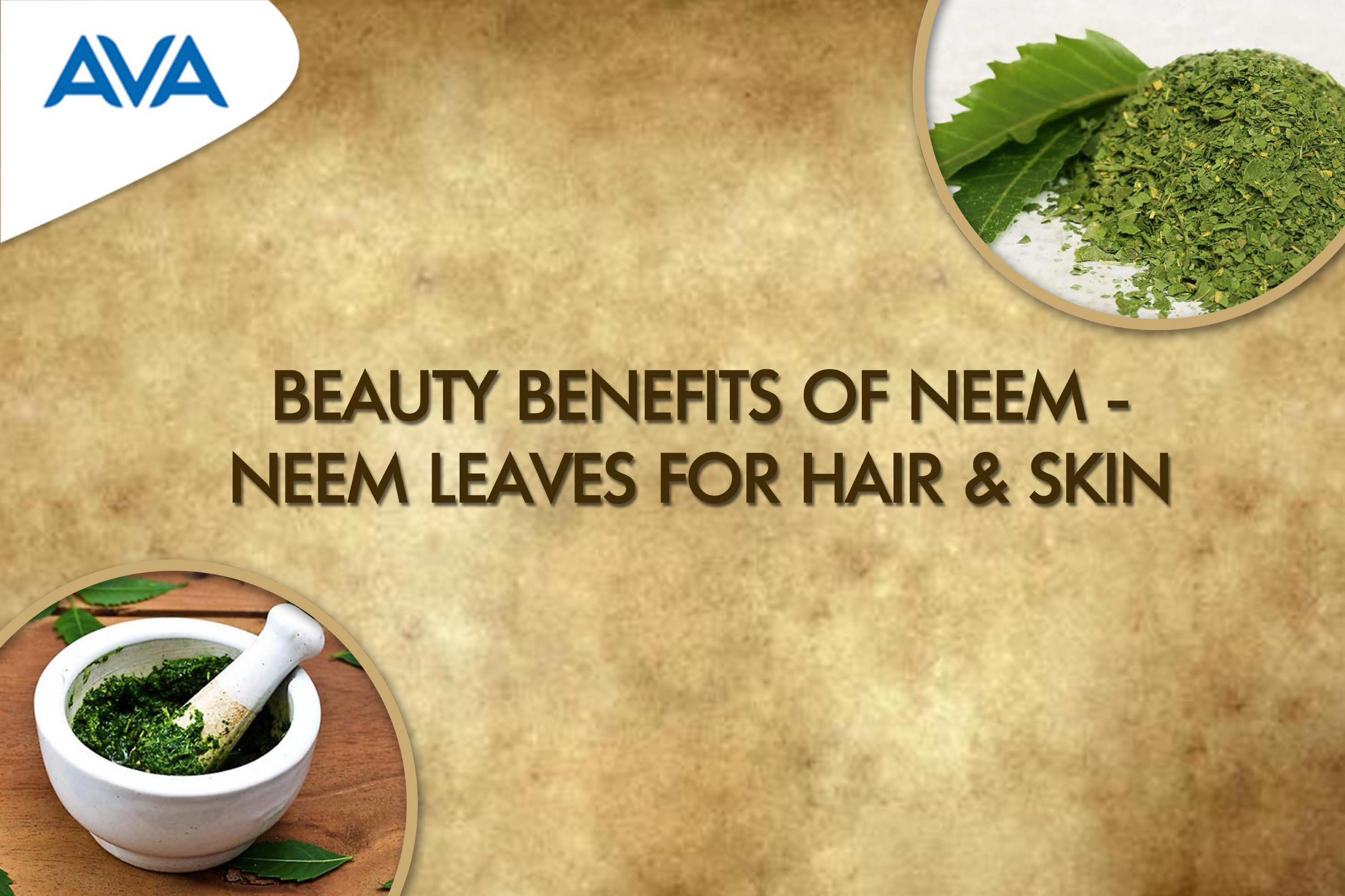 Beauty Benefits of Neem - Neem Leaves for Hair & Skin | AVA Care - Page 1 -  Created with 