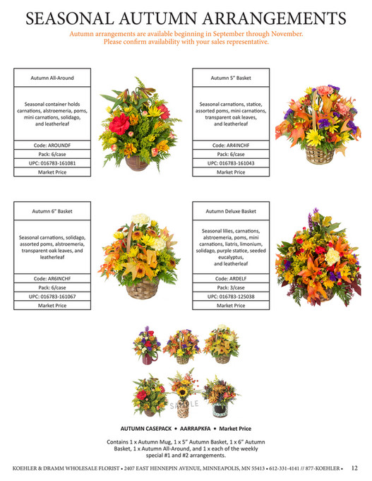 Koehler Dramm Wholesale Florist 2023 Everyday Catalog Page 12 13   49d86bd5 5d88 4f1e Abfc 64a3a682b3c0 At600 