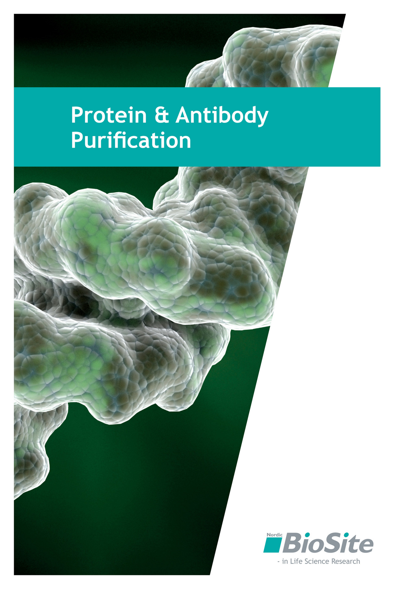 My Publications - Protein & Antibody Purification - Page 1 - Created ...