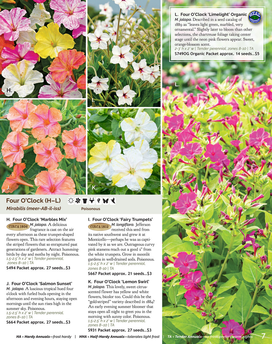 Select Seeds Co 21 Catalog Flower Seeds Plants Page 4 5 Created With Publitas Com