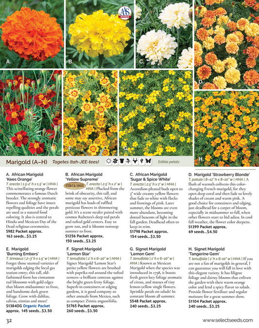 Select Seeds Co 2024 Catalog Page 32 33 Created With Publitas Com   03610d06 016d 4ecc Bda3 44a52a005f0e At600 