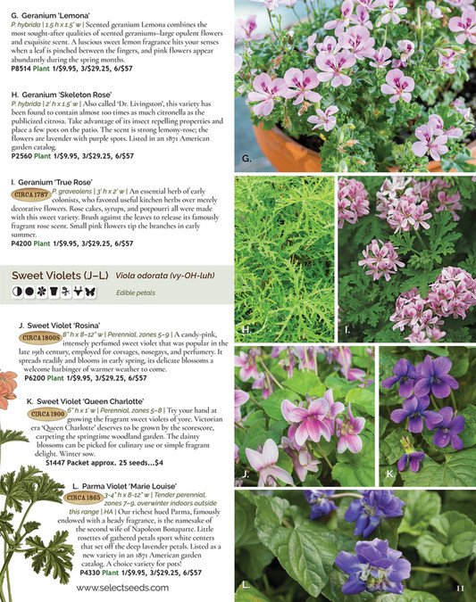 Select Seeds Co 2024 Catalog Page 10 11 Created With Publitas Com   0f05de16 Ccd3 4b47 B3b2 37a7f2c18b22 At600 