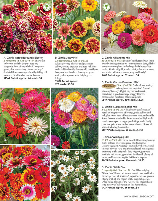 Select Seeds Co 2024 Catalog Page 48 49 Created With Publitas Com   1e512e47 7b22 4300 9cad B7acd5b8d09c At600 