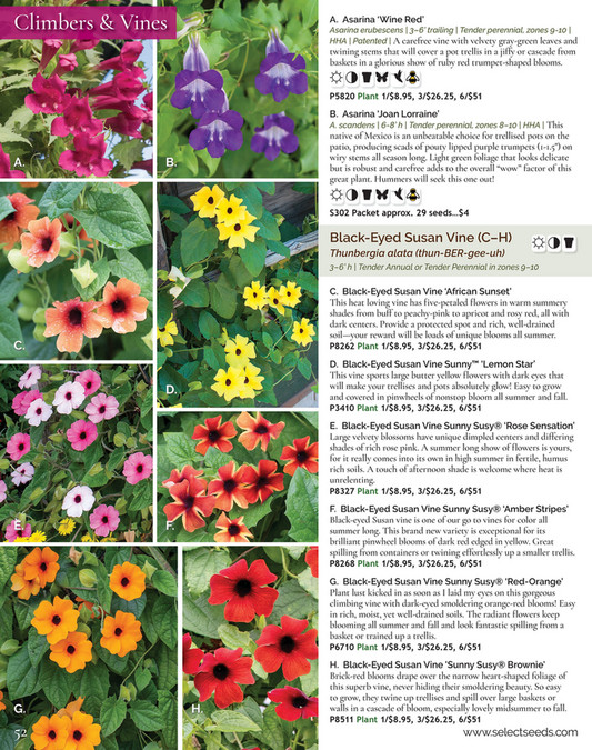 Select Seeds Co 2024 Catalog Page 52 53 Created With Publitas Com   2bc1e068 98a6 4622 9483 3f11cf1cfcd0 At600 