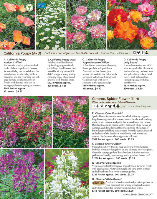 Select Seeds Co 2024 Catalog Page 22 23 Created With Publitas Com   2d3cbce4 4e52 4d55 9c36 C136faf00380 At600 