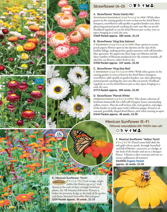 Select Seeds Co 2024 Catalog Page 44 45 Created With Publitas Com   66811dc5 67b8 4365 9188 4901054f5947 At600 