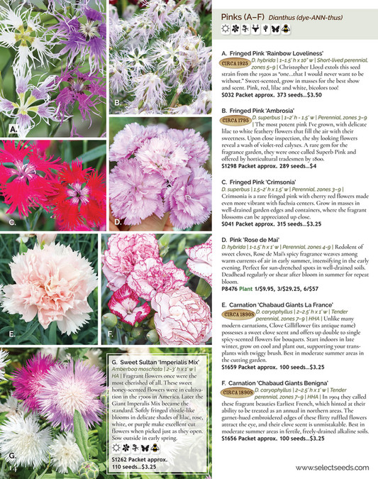 Select Seeds, Co. 2024 Catalog Page 1415 Created with