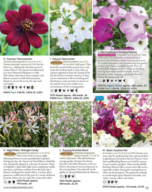 Select Seeds Co 2024 Catalog Page 12 13 Created With Publitas Com   6e678661 7519 4797 A475 366c3b6021a5 At600 