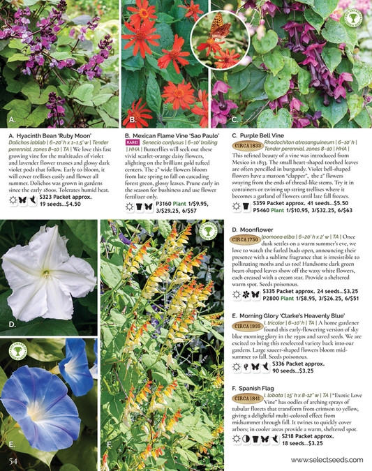 Select Seeds Co 2024 Catalog Page 54 55 Created With Publitas Com   729feb36 8031 4a7f 9e6c 431d4fdd26fe At600 