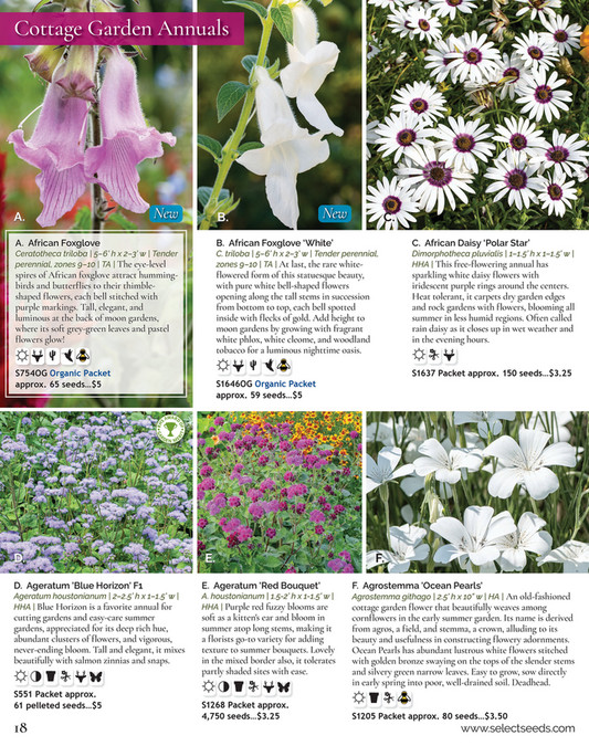 Select Seeds Co 2024 Catalog Page 18 19 Created With Publitas Com   834df807 4eee 4447 8eff 974049b80fc2 At600 