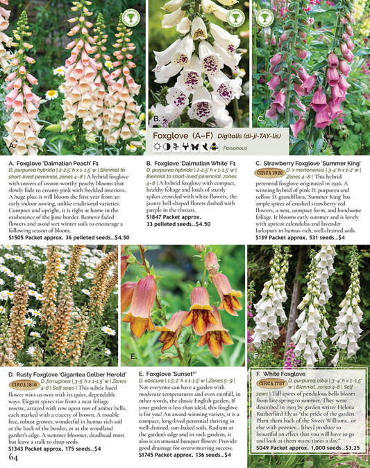 Select Seeds, Co. 2024 Catalog Page 6465 Created with