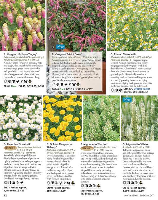 Select Seeds Co 2024 Catalog Page 12 13 Created With Publitas Com   91902053 7305 4d89 B046 6bfc39f2e712 At600 