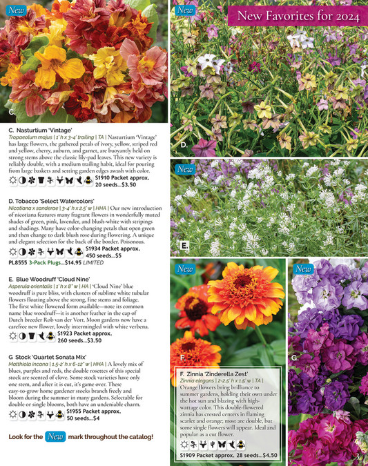 Select Seeds, Co. 2024 Catalog Page 23 Created with