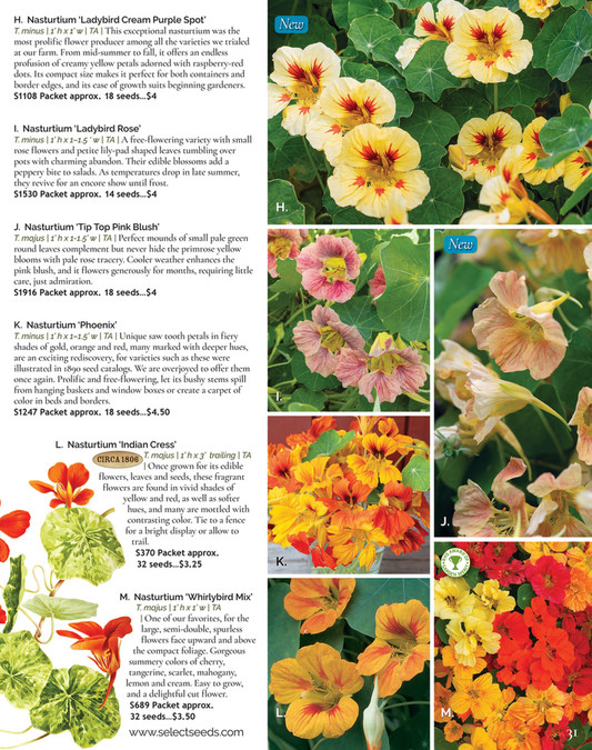 Select Seeds Co 2024 Catalog Page 30 31 Created With Publitas Com   Ab347e27 A6b6 4f23 80fa C41b36d70eba At600 