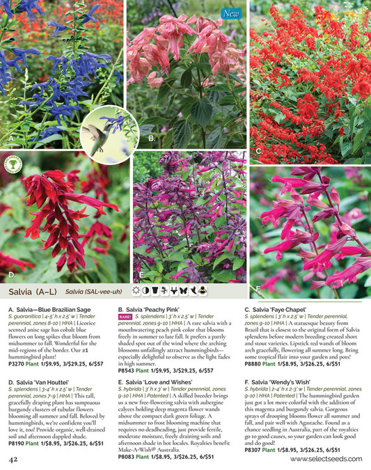 Select Seeds Co 2024 Catalog Page 42 43 Created With Publitas Com   Bb18e488 8287 49ae B047 8b3833681a75 At600 