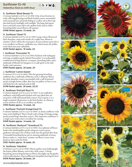 Select Seeds, Co. 2024 Catalog Page 4445 Created with