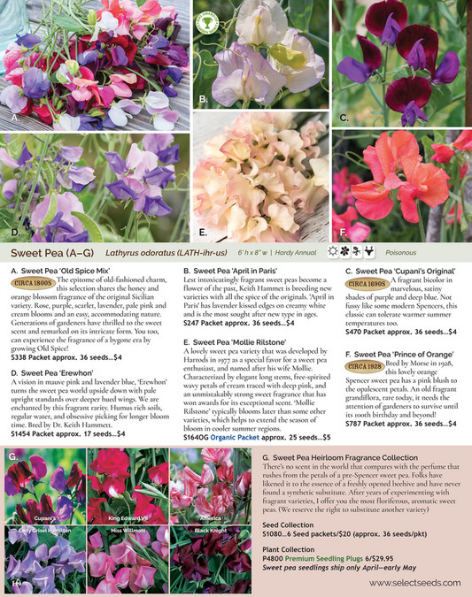 Select Seeds Co 2024 Catalog Page 16 17 Created With Publitas Com   Ed15c5db 9d8e 4be2 8f36 A6f0cb8e8ae0 At600 