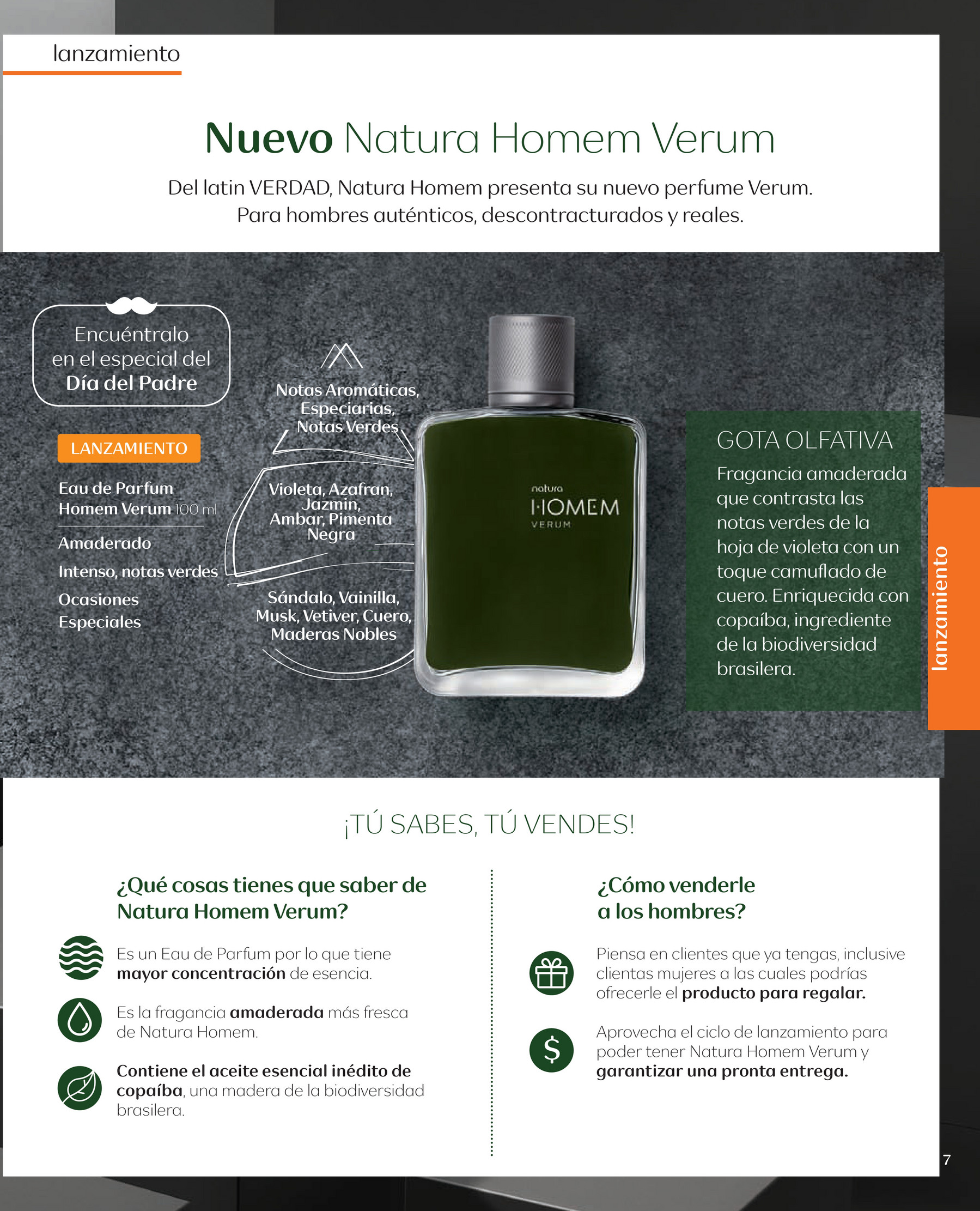 Revista Luhho Sexta Edicion, PDF, Perfume