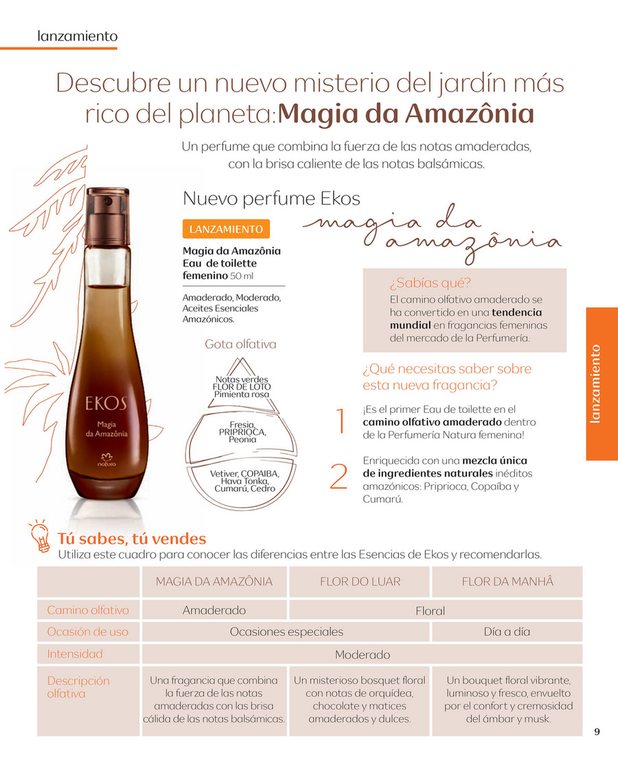 Revista Luhho Sexta Edicion, PDF, Perfume
