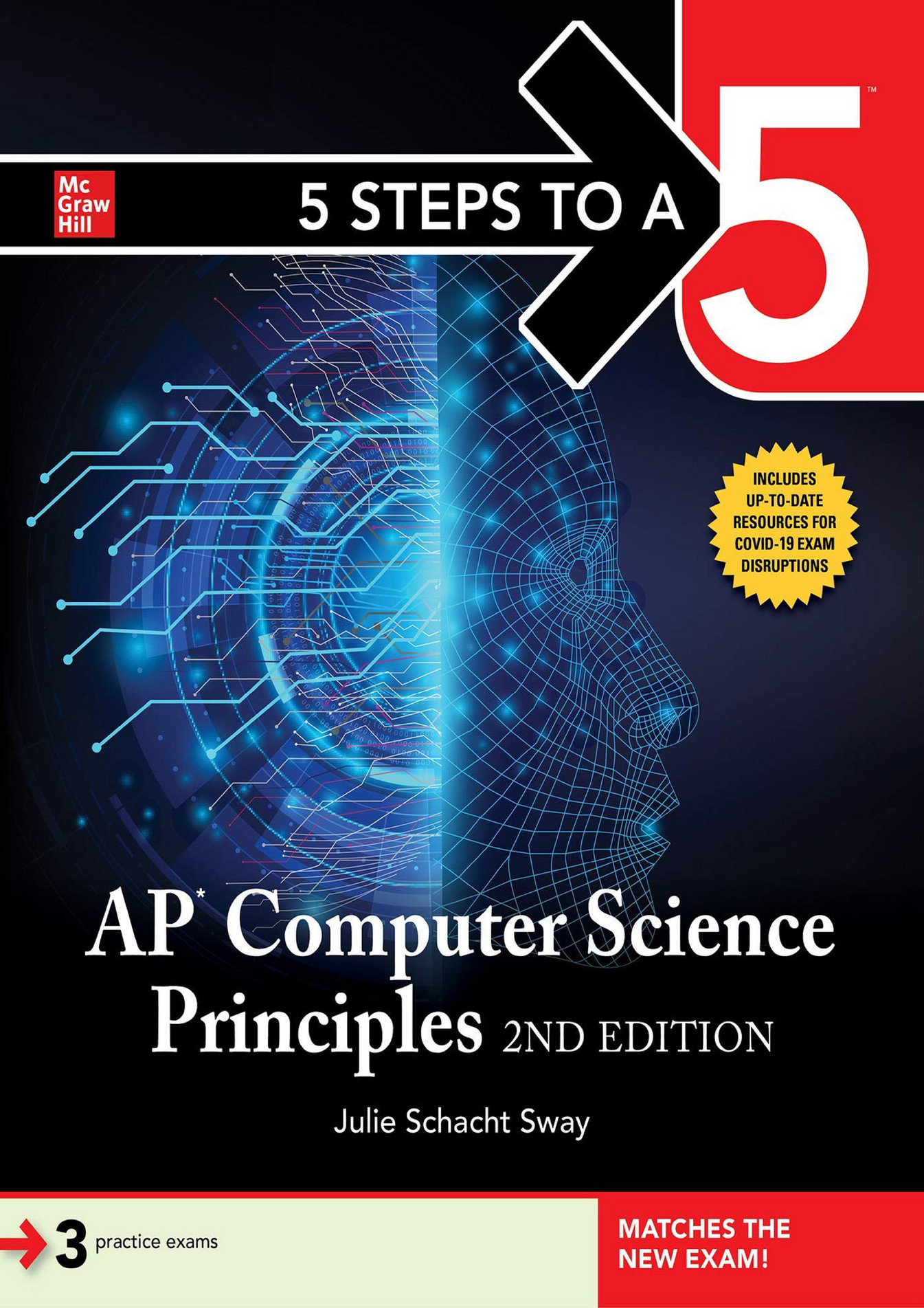 Deirdre - EBOOK 5 Steps To A 5 AP Computer Science Principles 2nd ...