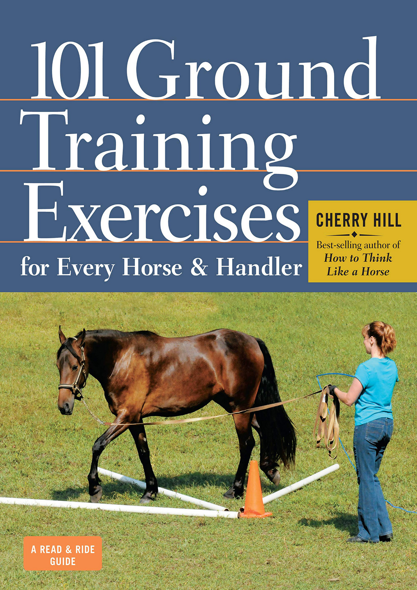 101 GROUND TRAINING EXERCISES FOR EVERY HORSE AND HANDLER READ RIDE intelligence overview