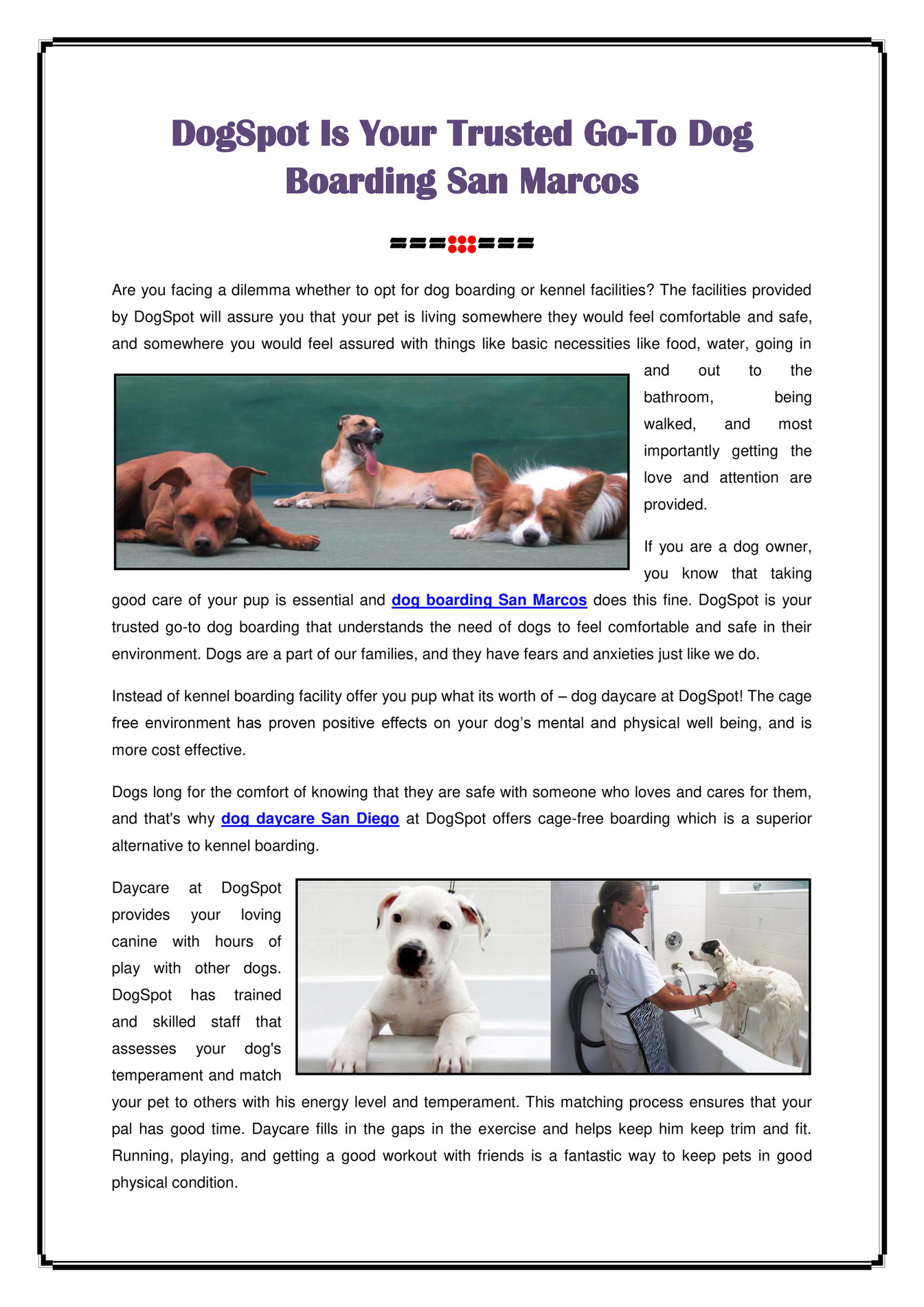 DogSpot Is Your Trusted Dog Boarding San Marcos Page 1