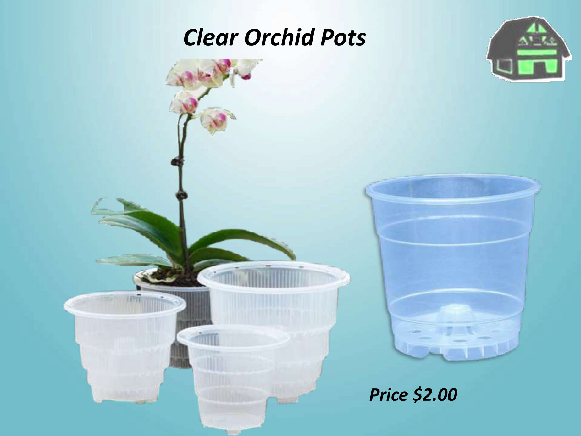 Green Barn Orchid Supplies 5 inch Top Clear Plastic Orchid Pots for sale Page 2 Created
