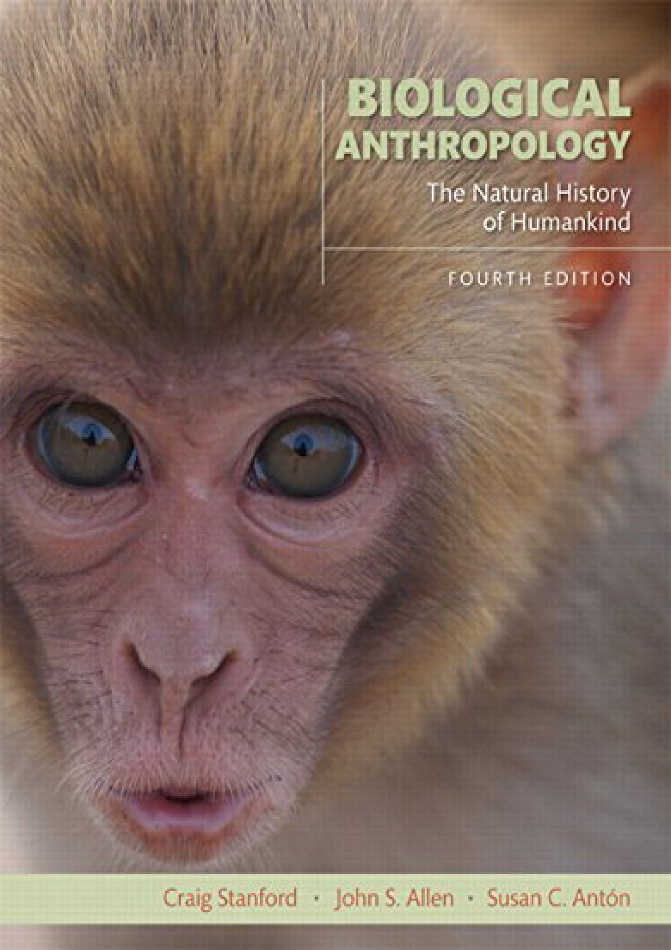 E Book Book Biological Anthropology The Natural History Of Humankind