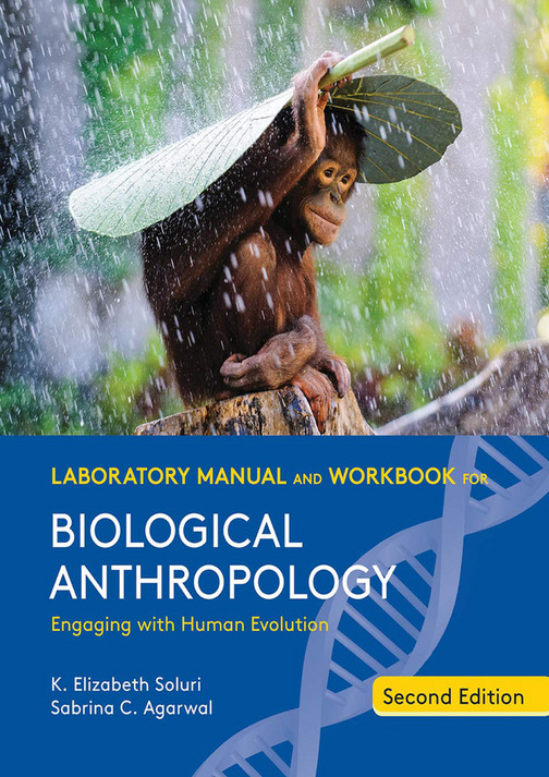 e-Book - DOWNLOAD Laboratory Manual and Workbook for Biological Anthropology - Page 1 - Created ...