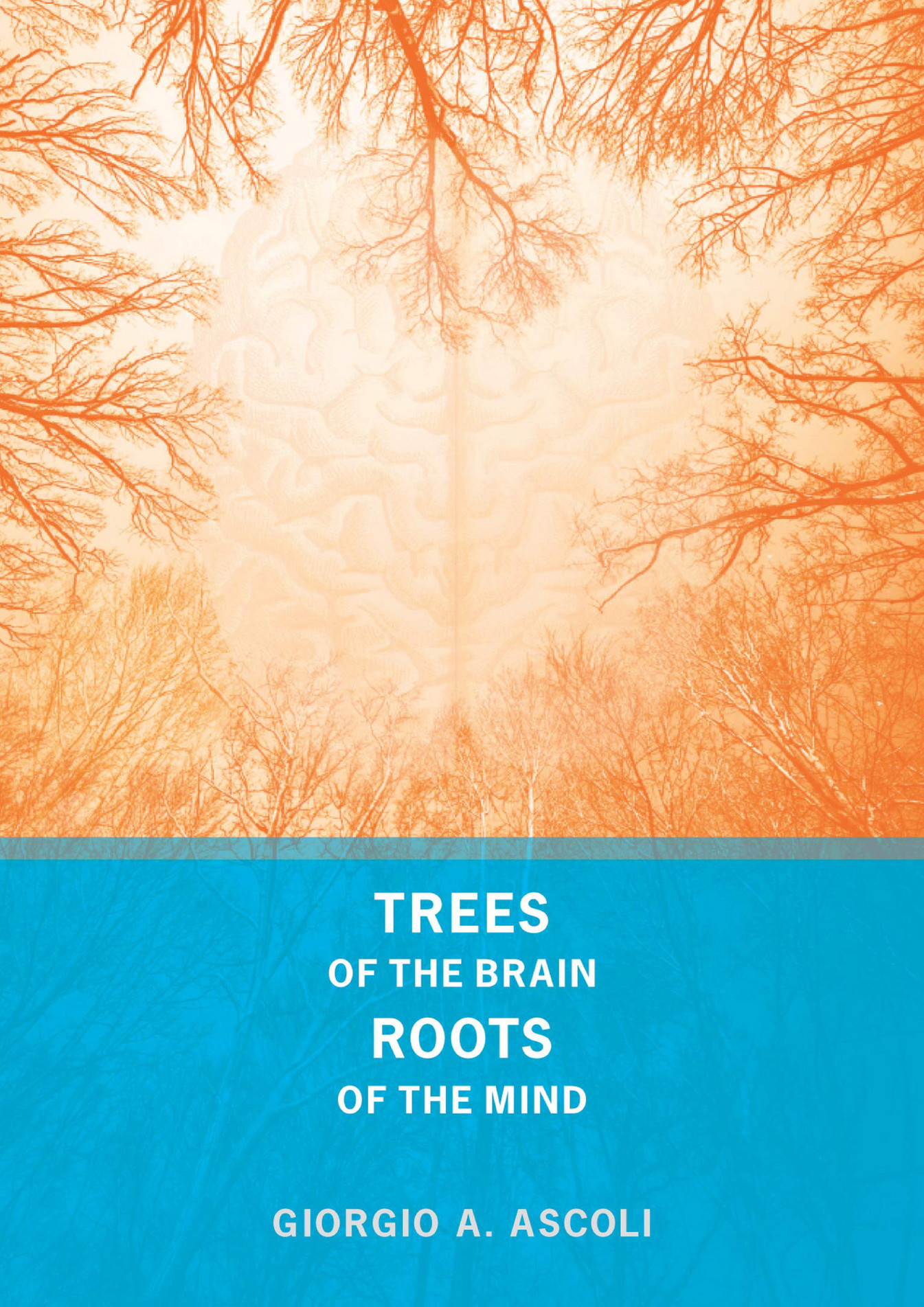 E book download trees of the brain roots of the mind page 2