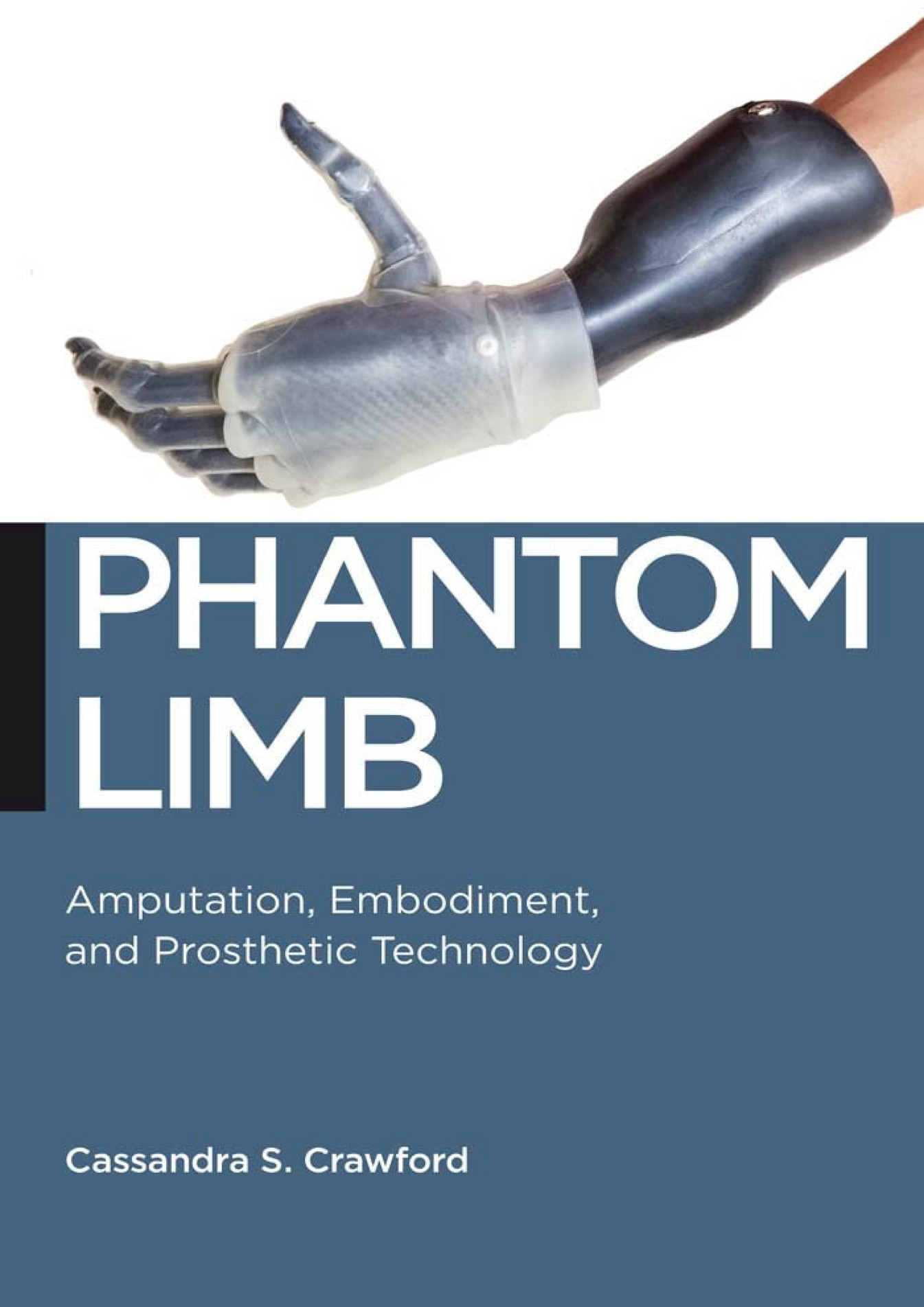 Rico - EBOOK Phantom Limb Amputation Embodiment And Prosthetic ...