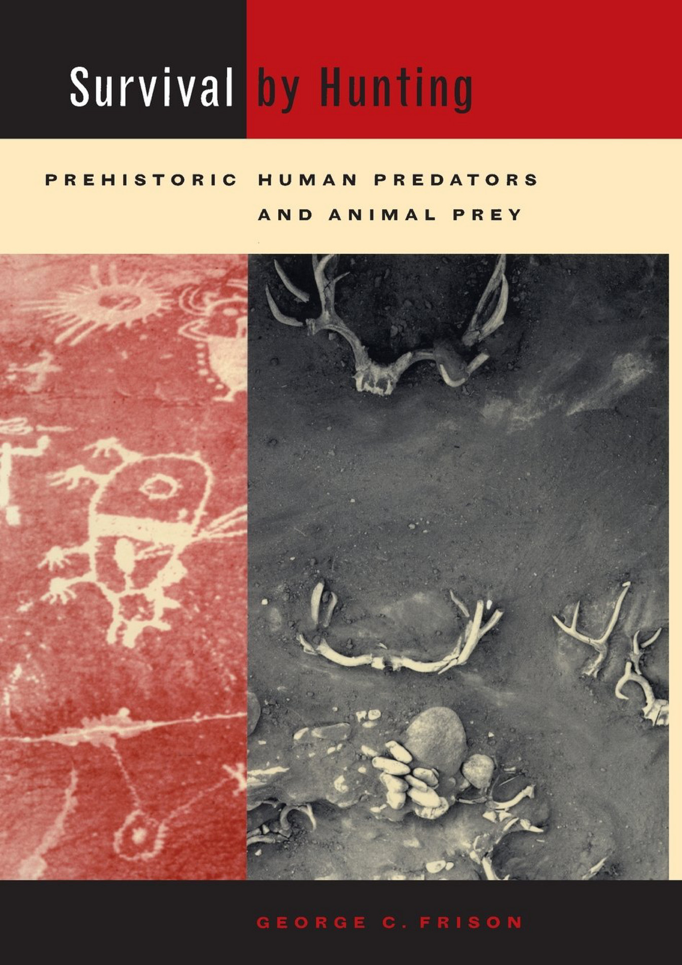 Discover The Unexpected Predators Of Cattle! - xxhtvy4