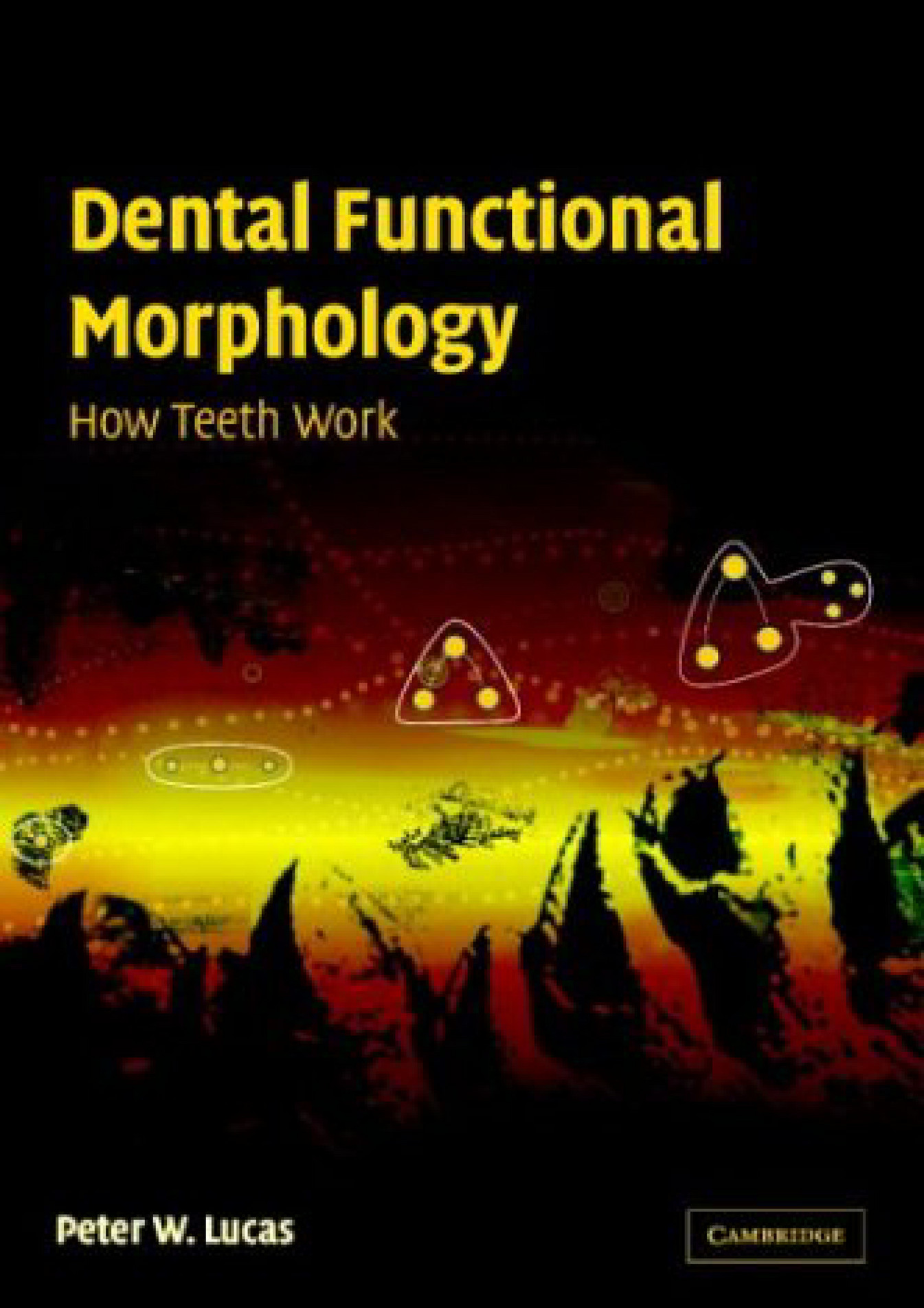 Dental Functional Morphology How Teeth Work