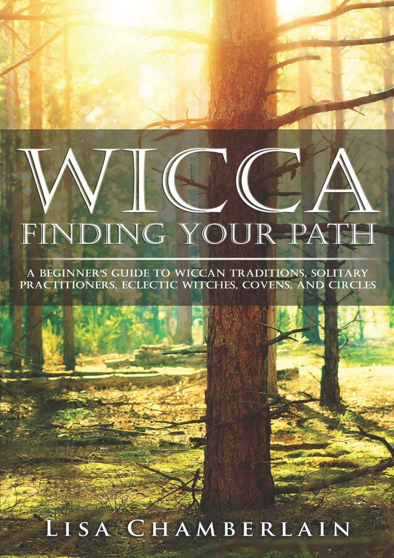 Beyond Sadness:  Conquering Impairment & Finding Your Path To Mental Health.