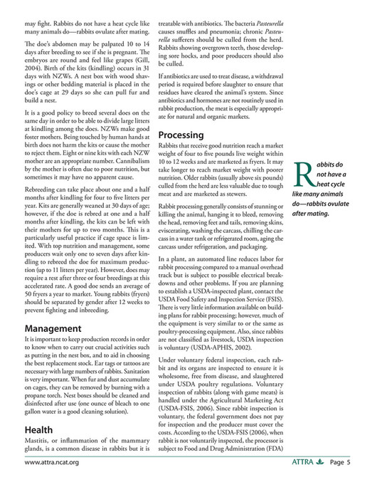 Eviscerating Rabbit globalreformation.org - rabbit farm1 - Page 1 - Created with Publitas.com