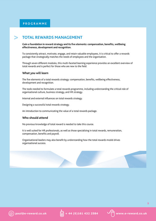 Rewards Professional Global Remuneration Professional (GRP®) E-reward brochure - Page 10-11