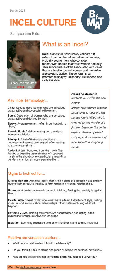 Feeling Better Incel My publications - Safeguarding Bulletin March 2025 - Page 14-15 ...