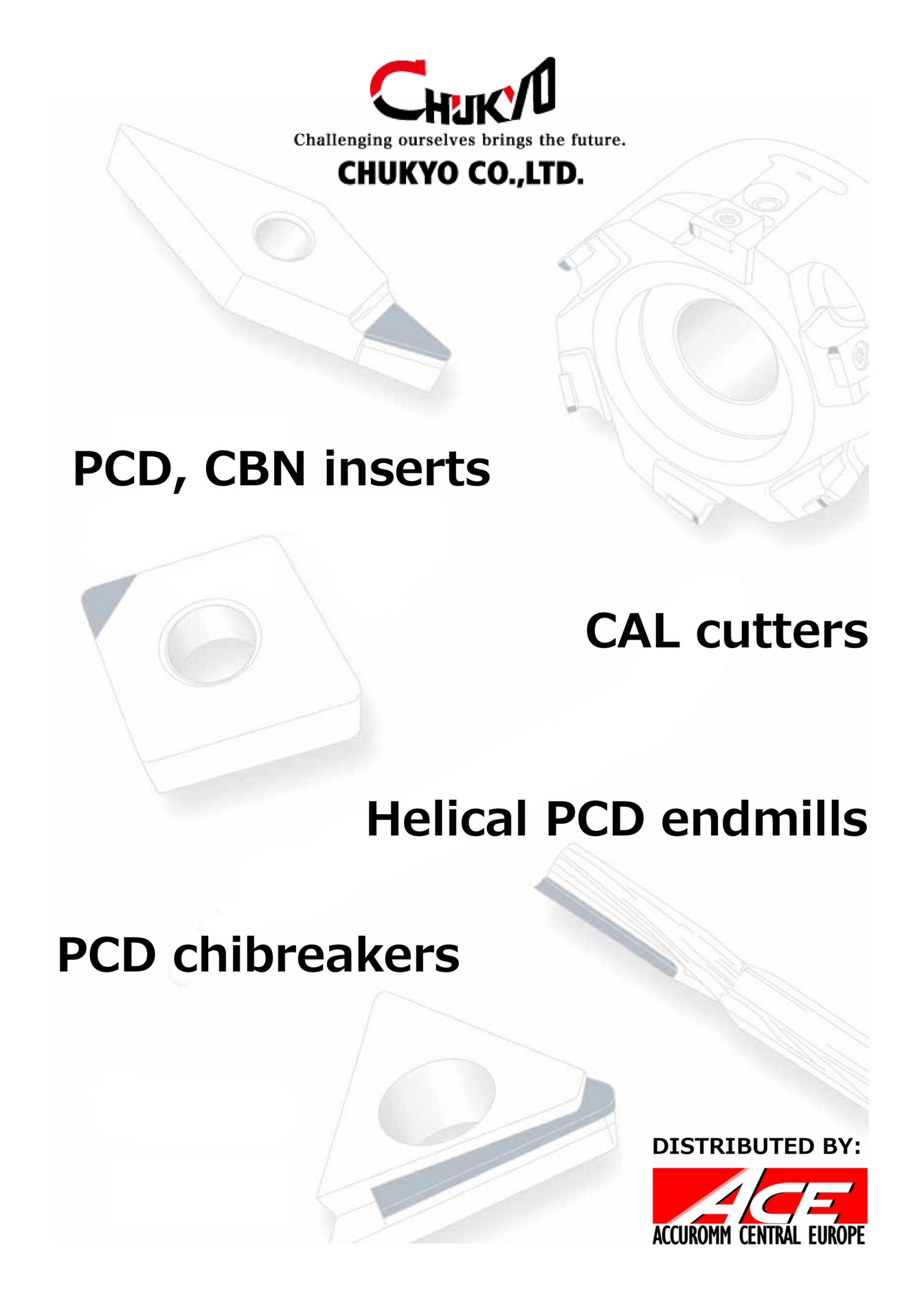 accuromm-central-europe-sp-z-o-o-ace-chukyo-brochure-page-2-3