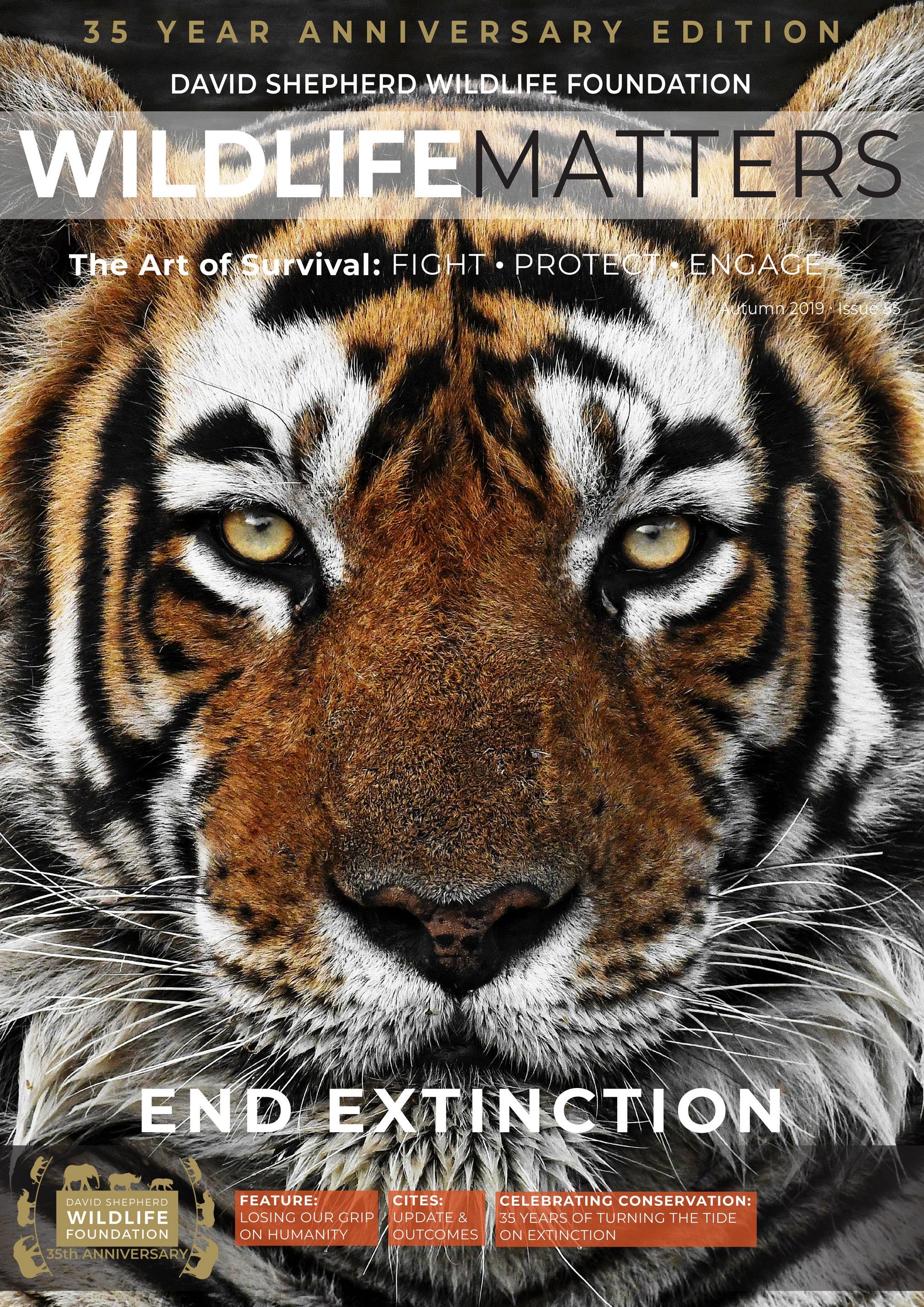 How DSWF is Protecting & Saving Tigers